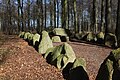 English: Long dolmen near Korsør, Denmark. It was buildt around 4000 B.C. It is 40m long and 7m wide. It has an east/west direction, consists of 64 stones as the border. The chamber is 1.2M by 0.6m with entrance from the west. Camera location 55° 18′ 38″ N, 11° 10′ 34″ E  View all coordinates using: OpenStreetMap