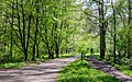 * Nomination Nature reserve “Hülser Bruch” in Krefeld --Carschten 09:25, 26 April 2020 (UTC) * Promotion  Support Good quality. --Poco a poco 10:22, 26 April 2020 (UTC)