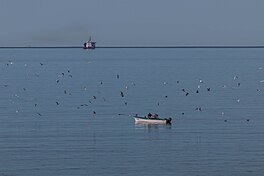 From L'Anse-au-Loup