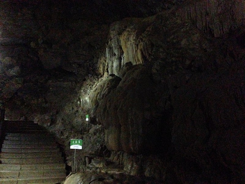 File:Large Mushroom in Akiyoshi Cave.jpg