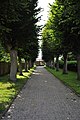 Deutsch: Blick von Osten auf das Kriegerdenkmnal und das Tor des Friedhofs von Hemmoor-Althemmoor, Sicht von Nordwesten. This is a photograph of an architectural monument. It is on the list of cultural monuments of Hemmoor, no. 35.202.200.019. This is a photograph of an architectural monument. It is on the list of cultural monuments of Hemmoor, no. 35.202.200.020.