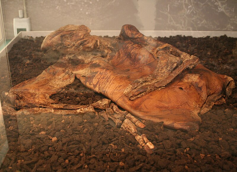 File:Lindow Man 01.jpg