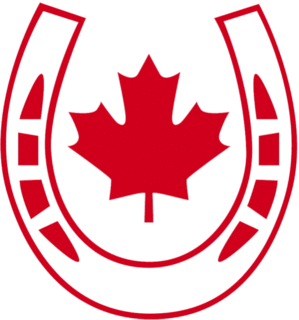 <span class="mw-page-title-main">Canadian Equestrian Team</span>