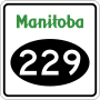 Thumbnail for Manitoba Provincial Road 229