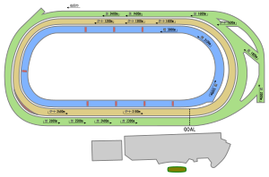 東京競馬場: 歴史, コース概要, 主な設備