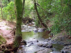 Belo Horizonte: Nome, História, Geografia