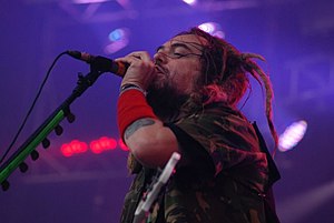 Max Cavalera in a gig in 2008.