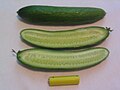 A Mediterranean cucumber, whole and cut open, with AA battery for size.