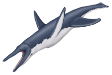 Life restoration Megacephalosaurus eulerti MP.png