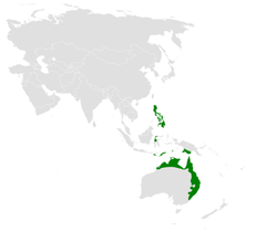 Megalurus timoriensis distribution map.png