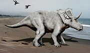 Vignette pour Mojoceratops