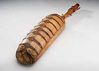 Backside of the molo collected by Dr. Lorenzo Dow Turner, from the Hausa people of Nigeria in 1951. The soundboard is held on and properly tensioned by the rawhide stings on the back of the instrument. Molo or Xalam, lute, back.jpg