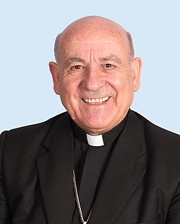 <span class="mw-page-title-main">Vicente Jiménez Zamora</span> Spanish prelate of the Catholic Church (born 1944)