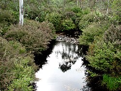 Moroka River.jpg