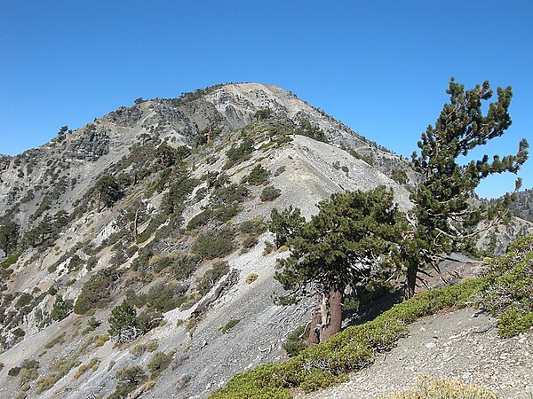 Mount Harwood, from Devils Backbone