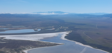 Mount Pinos im Hintergrund vom Carrizo Plain National Monument aus gesehen