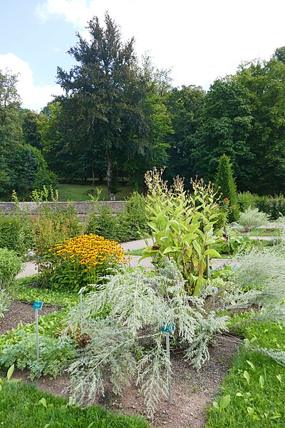 File:Moyenmoutier-Jardins de l'abbaye (1).jpg