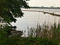Mueggelsee - Uferschutz (Mueggel Lake - Bank Protection) - geo.hlipp.de - 36676.jpg