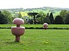 Mushrooms at Bretton - geograph.org.uk - 1284301.jpg