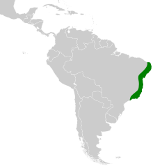 Myrmotherula luctuosa map.svg