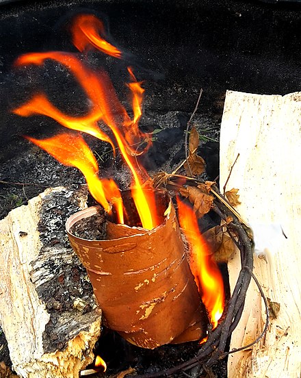 Birch bark being used as tinder in a campfire