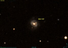 NGC 1127
