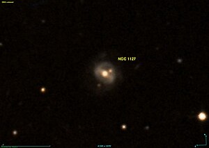 NGC 1127 DSS.jpg