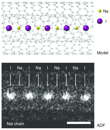Monatomic NaI chains grown inside double-wall carbon nanotubes.[12]