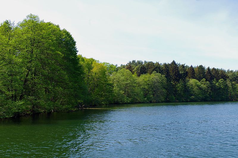 File:Nationalpark Müritz - Pagelsee (7).jpg