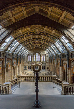 Natural History Museum, London, Central Hall