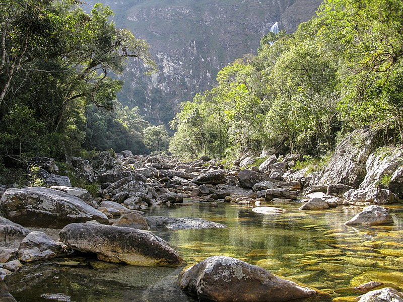 File:Natureza rio são francisco serra da canastra IMG 4383.jpg