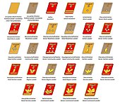 Nazi Party rank insignia 1939–1945. Party levels and rank tab colours: * Ortsgruppen - light yellow *Kreisleitung - dark brown *Gauleitung - orange *Reichsleitung - dark red