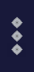 New Zealand Police OF-2.svg