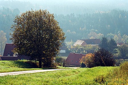 Obererlbach (Haundorf), der Juchhöhweg. Bild 2