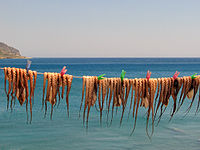 Octopi are often sun-dried before grilling.