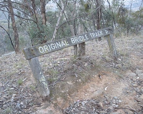 The Bridle Track, New South Wales