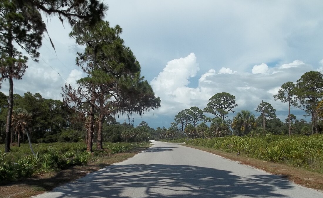 Oscar Scherer State Park