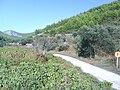 Otok Korčula04562.JPG