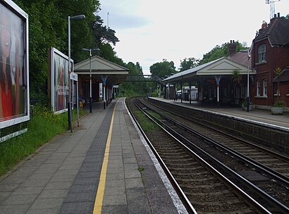 How to get to Oxshott Station with public transport- About the place