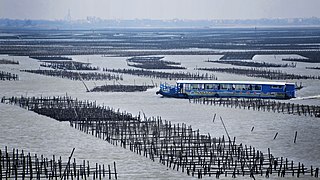 <span class="mw-page-title-main">Aquaculture in Taiwan</span> Industry in Taiwan