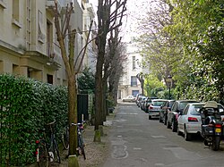 Avenue Despréaux
