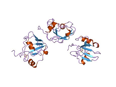 Ferredoxine