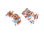 1y8q: SUMO E1 آنزیم فعال‌کننده کمپلکس SAE1-SAE2-MG-ATP
