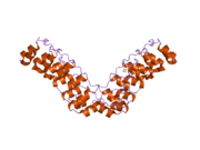 2he0: Crystal structure of a human Notch1 ankyrin domain mutant