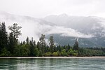 Thumbnail for Great Bear Rainforest