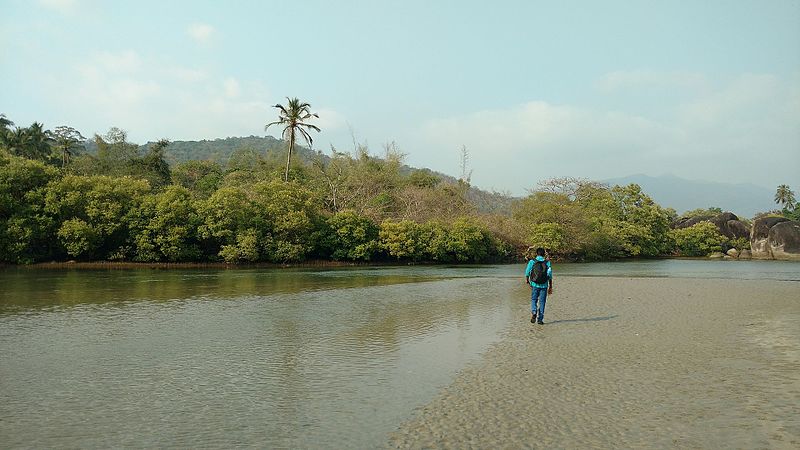 File:Palolem Beach South Goa.jpg