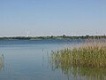 de: Der See bei der Halbinsel Pehlitzwerder