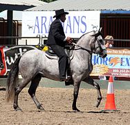 un cavallo grigio cavalcato da un uomo vestito di nero