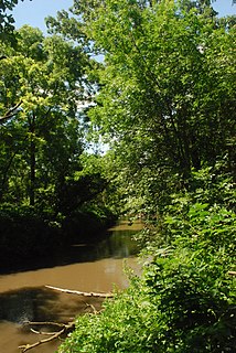 Pecatonica River river in the United States of America