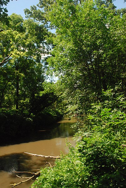 The Pecatonica River in the Pecatonica River Woods State Natural Area in Iowa County, Wisconsin